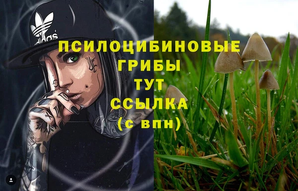 Альфа ПВП Белоозёрский