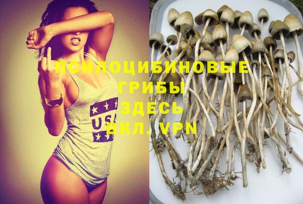 мет Белокуриха